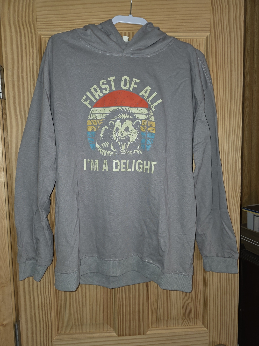 Men's Grey Graphic Hoodie Sweatshirt - "First Of All I'm A Delight"